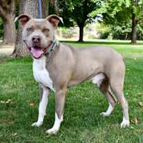 Thumbnail photo of Jimmy #3