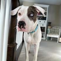 Thumbnail photo of Zoom #3