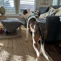 Thumbnail photo of Zoom #4