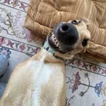 Thumbnail photo of Uniqua #4