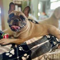 Thumbnail photo of Oneida #1