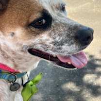 Thumbnail photo of MISSY #1