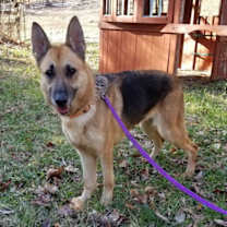 Thumbnail photo of Nora #3