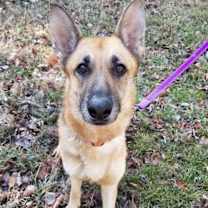 Thumbnail photo of Nora #4