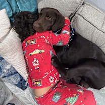 Thumbnail photo of Oso #2