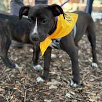 Thumbnail photo of Kim #1