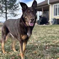 Thumbnail photo of Calina #1