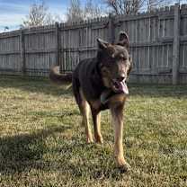 Thumbnail photo of Calina #2