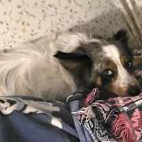 Thumbnail photo of 0854 Bentley #4