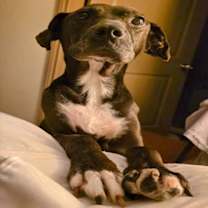 Thumbnail photo of NOODLES #2