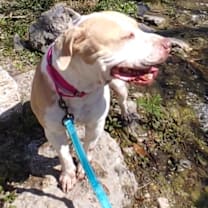 Thumbnail photo of Matilda #4