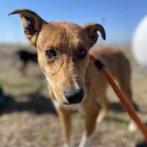 Thumbnail photo of Louise #1