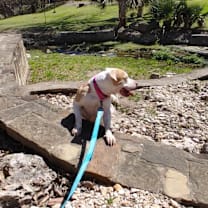 Thumbnail photo of Matilda #3