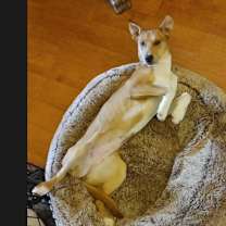 Thumbnail photo of Louise #2