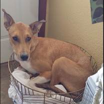 Thumbnail photo of Louise #3