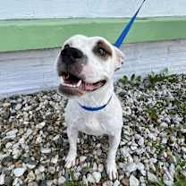 Thumbnail photo of Marsha Brady #1