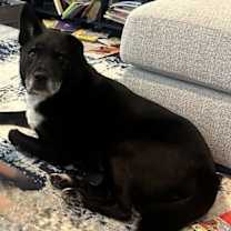 Thumbnail photo of Kristoff - CP #1