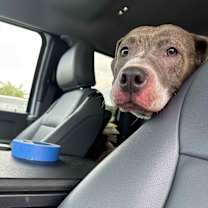 Thumbnail photo of Thindy Brady #2