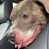 Thumbnail photo of Thindy Brady #3