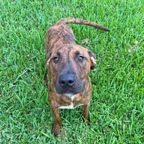 Thumbnail photo of Dawson FOSTER #1