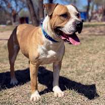 Thumbnail photo of Tank NM #1