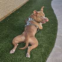 Thumbnail photo of Eddie #2