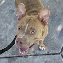 Thumbnail photo of Eddie #3