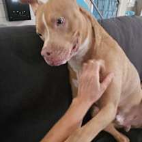 Thumbnail photo of Eddie #4