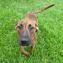 Thumbnail photo of Dawson FOSTER #3