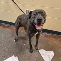 Thumbnail photo of Clark #2