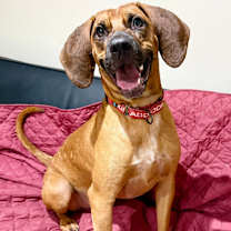 Thumbnail photo of Zeke #4