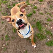 Thumbnail photo of Rudy #2