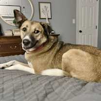 Thumbnail photo of Freedom #1