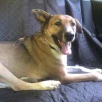 Thumbnail photo of Freedom #2