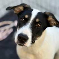 Thumbnail photo of Spot #3