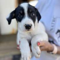 Thumbnail photo of Spot #4