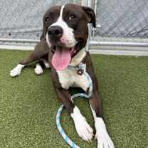 Thumbnail photo of Froggy #1