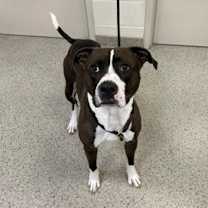 Thumbnail photo of Froggy #2