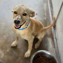 Thumbnail photo of Oakley #1