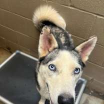 Thumbnail photo of Zoe #3