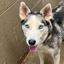 Thumbnail photo of Zoe #4