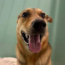 Thumbnail photo of King 1398-25 #1