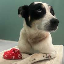 Thumbnail photo of Friday 1305-25 #2