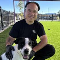 Thumbnail photo of Valkyrie #3