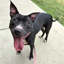 Thumbnail photo of Agnes #1