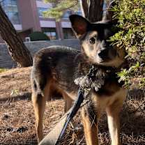 Thumbnail photo of Namu #2