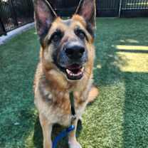 Thumbnail photo of Coach #1