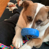 Thumbnail photo of Blue #3