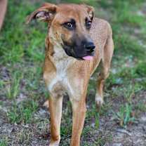 Thumbnail photo of Topper #2