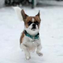 Thumbnail photo of Tic Tac #2